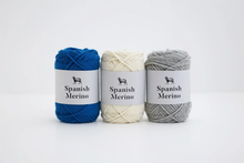 Load image into Gallery viewer, Daruma Spanish Merino