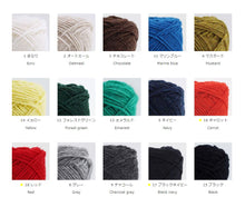 Load image into Gallery viewer, Daruma Shetland Wool
