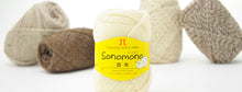 Load image into Gallery viewer, Hamanaka Sonomono(Sock/ 4 ply)
