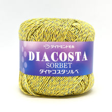 Load image into Gallery viewer, Dia COSTA SORBET
