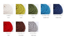 Load image into Gallery viewer, Daruma Super Wash Merino
